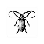 kever illustratie rubberstempel (Afrduk)