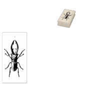 kever illustratie rubberstempel (Gestempeld)