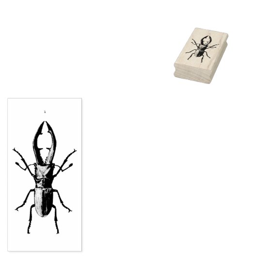  kever illustratie rubberstempel (Gestempeld)