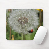kever - ladybird op dandelion muismat (Met muis)