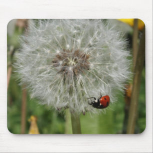 kever - ladybird op dandelion muismat