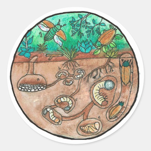 Kever Levenscyclus Sticker (Voorkant)