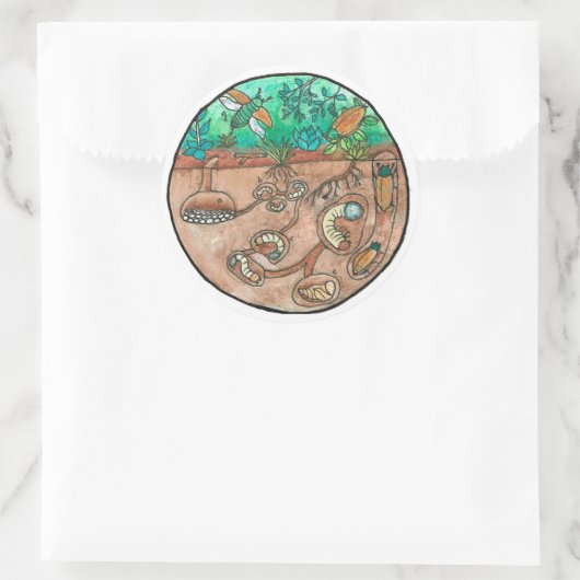 Kever Levenscyclus Sticker (Tas)