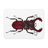 kever magneet (Horizontaal)