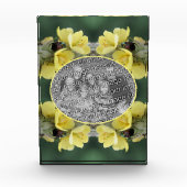 Kever On Wild Mullein Flower Voeg uw Fotoblokken (Voorkant)