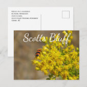 Kever op Goldenrod, Scotts Bluff, Gering, NE Briefkaart (Voorkant / Achterkant)