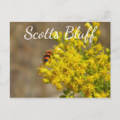 Kever op Goldenrod, Scotts Bluff, Gering, NE Briefkaart (Voorkant)