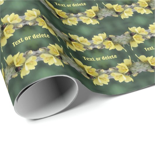 Kever op Mullein bloem Abstract gepersonaliseerd Cadeaupapier (Rol Hoek)