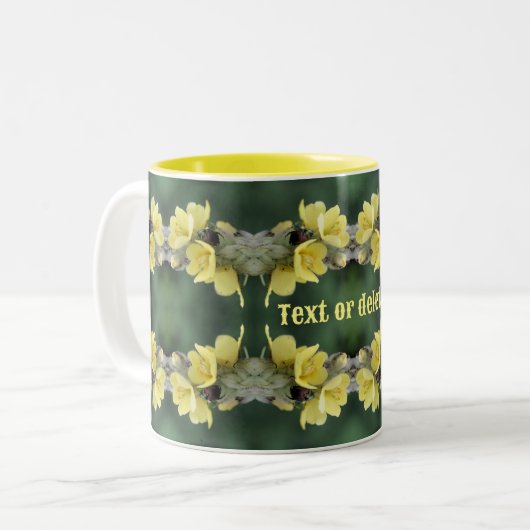 Kever op Mullein bloem Abstract gepersonaliseerd Tweekleurige Koffiemok (Voorkant links)