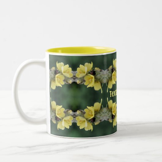 Kever op Mullein bloem Abstract gepersonaliseerd Tweekleurige Koffiemok (Links)