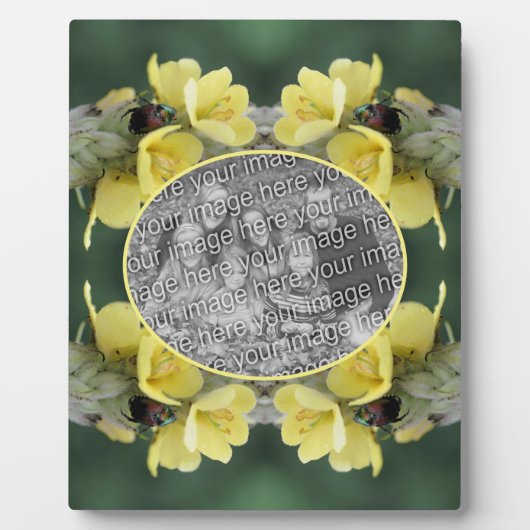 Kever op Wild Mullein Flower Uw foto toevoegen Fotoplaat (Voorkant)