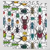 Kever op wit (Voorkant / Achterkant)