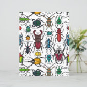 Kever op wit (Staand voorkant)