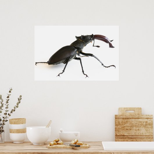 kever poster (Keuken)