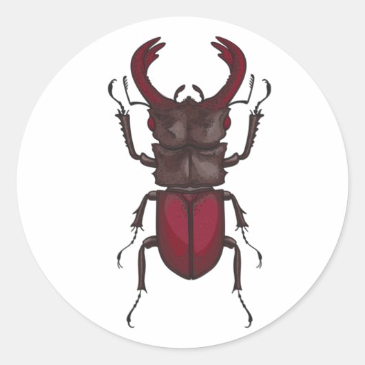 kever ronde sticker (Voorkant)