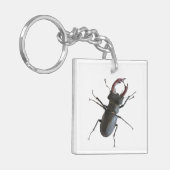 kever sleutelhanger (Voorkant Links)