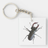 kever sleutelhanger (Voorkant)