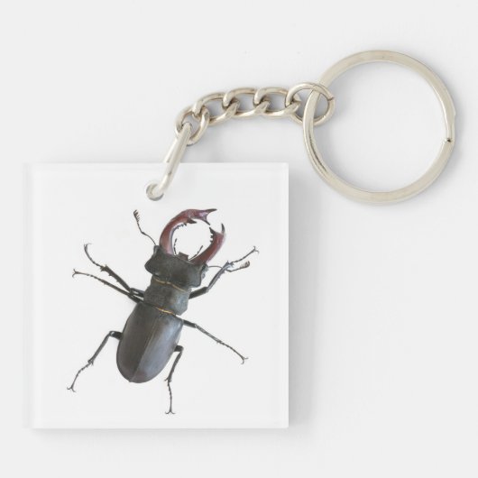 kever sleutelhanger (Achterkant)