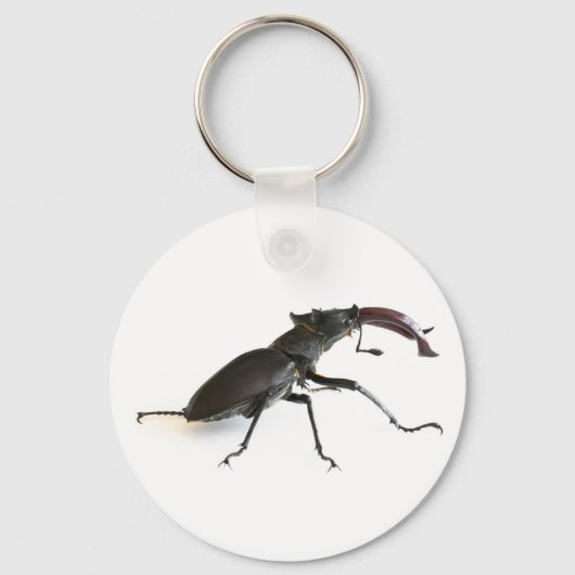 kever sleutelhanger (Voorkant)