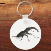 kever sleutelhanger (Voorkant)