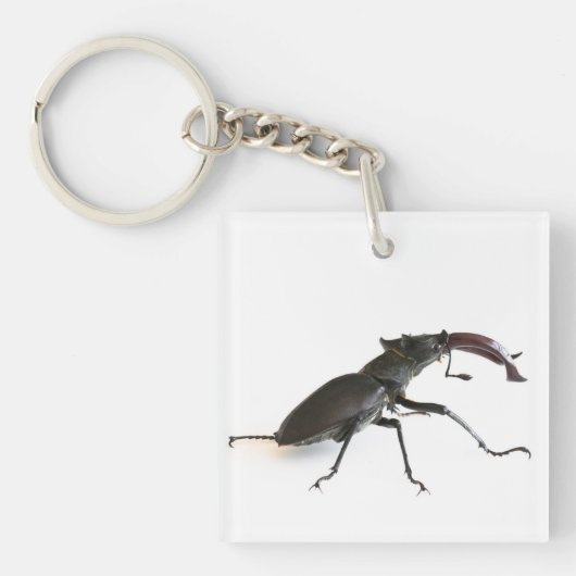 kever sleutelhanger (Voorkant)