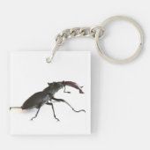 kever sleutelhanger (Achterkant)