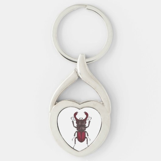 kever sleutelhanger (Voorkant)