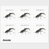 kever vierkante sticker (Vel)