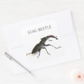 kever vierkante sticker (Envelop)