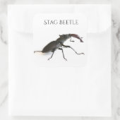 kever vierkante sticker (Tas)
