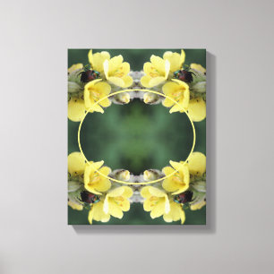 Kever Wild Mullein Flower Creëer Uw eigen foto Canvas Afdruk