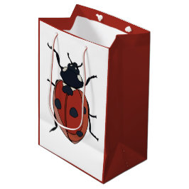 Kevers Insect lieveheersbeestjes Medium Cadeauzakje