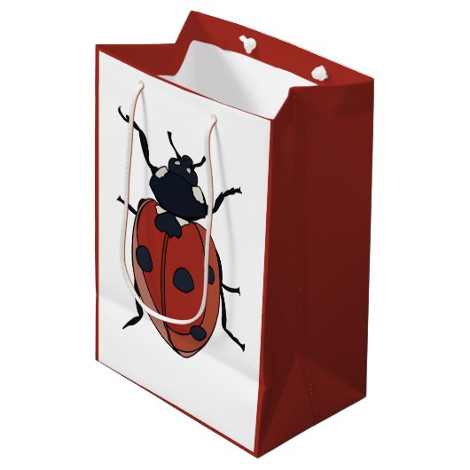 Kevers Insect lieveheersbeestjes Medium Cadeauzakje (Voorkant Gekanteld)