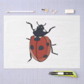 Kevers Insect lieveheersbeestjes Tissuepapier (Craft)