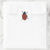 Kevers Insect lieveheersbeestjes Vierkante Sticker (Tas)
