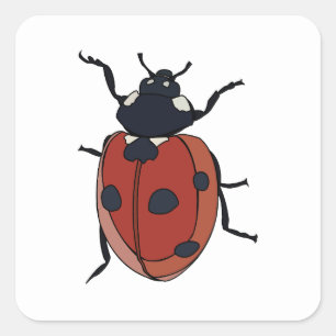 Kevers Insect lieveheersbeestjes Vierkante Sticker