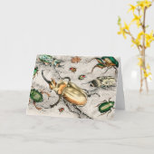 Kevers Insecten Wandluizen Kaart (Gele Bloem)