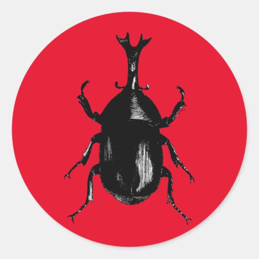 Kevers insectenbeestje ronde sticker (Voorkant)