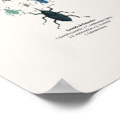 Kevers - Naturalist's Library Poster (Hoek)