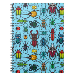 Kevers op blauw notitieboek