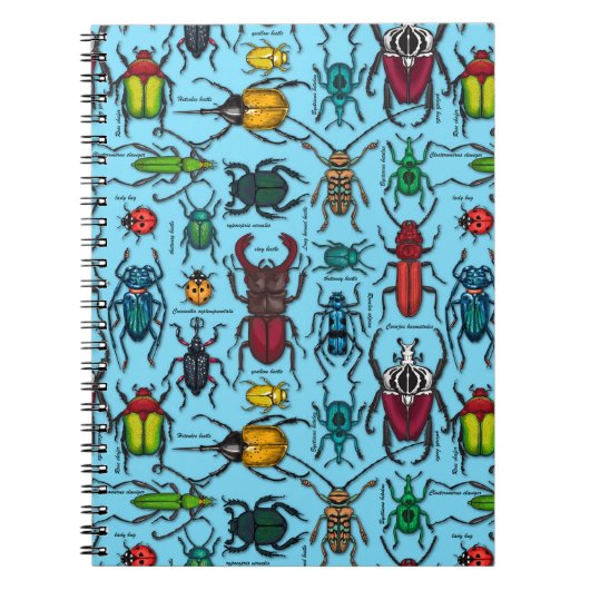 Kevers op blauw notitieboek (Voorkant)
