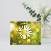 Kevers op gele witte bloem briefkaart (Staand voorkant)