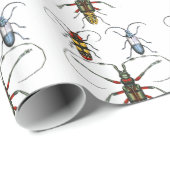 Kevers Papier Wrap (Rol Hoek)