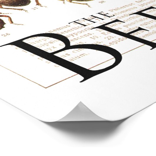 kevers poster (Hoek)
