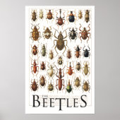 kevers poster (Voorkant)
