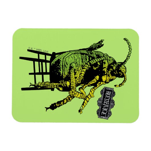 Keversap | Kever in stoel Magneet (Horizontaal)