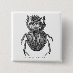 Keverskever antieke pen- en inkttekening vierkante button 5,1 cm