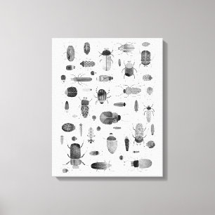 Kevertje Zwart & Wit Canvas Afdruk