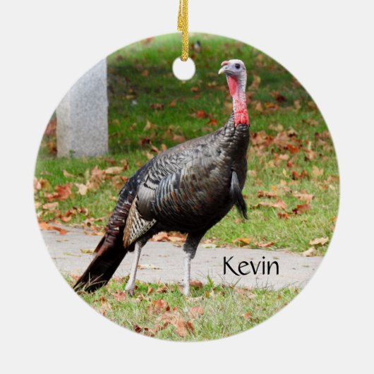 Kevin The Turkey - Old Wethersfield, CT (2 partije Keramisch Ornament (Achterkant)