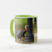 Kevin The Turkey - Old Wethersfield, CT (2 pics) Mok (Voorkant links)